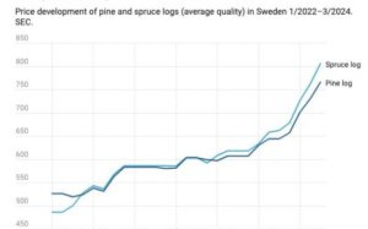 Swedish sawmills face timber shortages, prompting Finnish competition