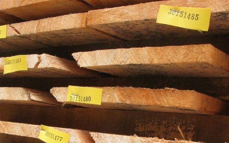 Denmark expects rising trends in its timber industry