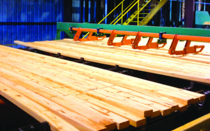 Rex Lumber to build new softwood mill in Alabama