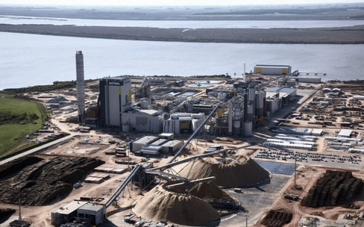 UPM to build a new giant pulp mill in Uruguay