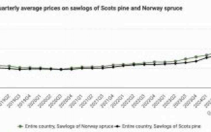 Sweden: +30% increase in sawlog prices in 2024