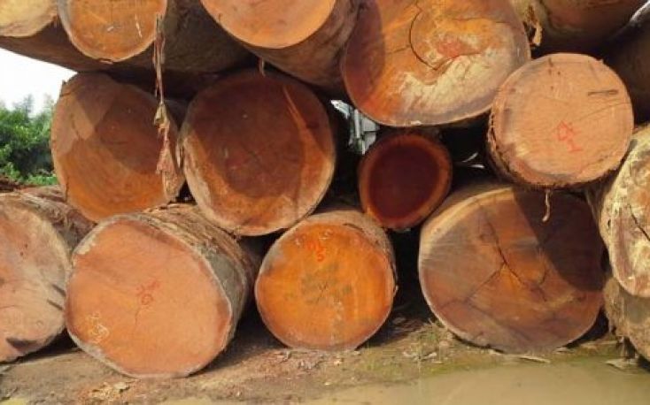 Central/West Africa: Dropping pressure on FOB tropical logs prices