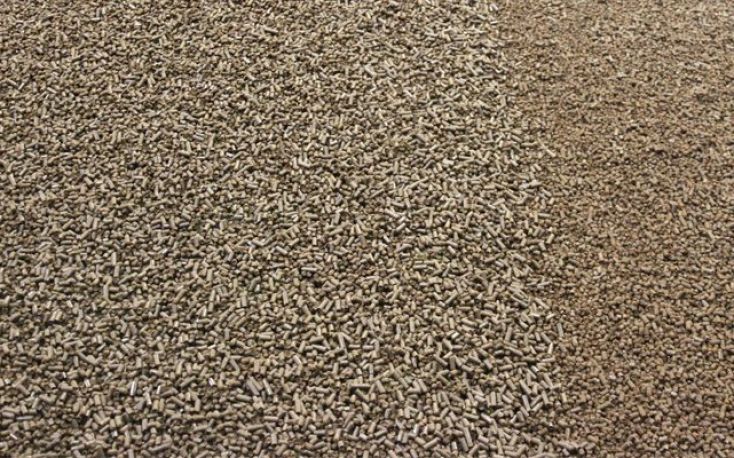 Record last year for the German pellet market, worries for 2023