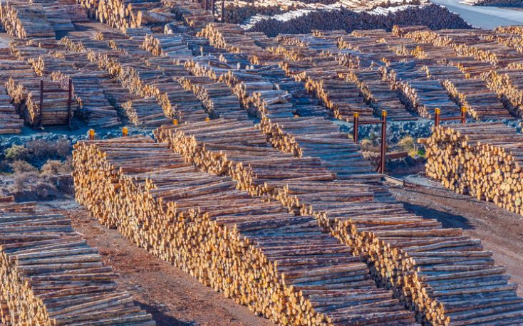 China: Log export prices fall after expected construction demand didn’t rise as anticipated