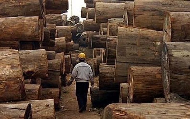 Central African countries fails to honor timber export ban